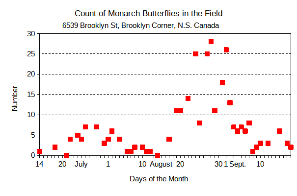 Graph of 2023 Count of Monarch Butterflies in the Field
